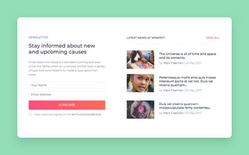 Pure CSS horizontal fixed bottom announcement news marquee Example